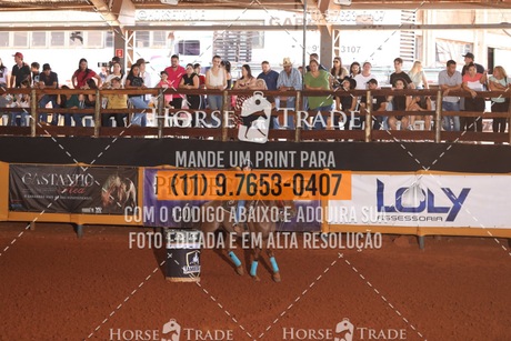HT1_8515.JPG