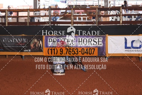 HT1_5108.JPG