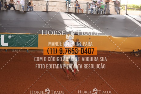 HT1_8805.JPG