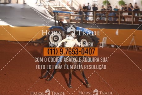 HT1_8832.JPG