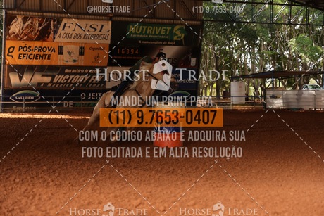 HT3_9335.JPG