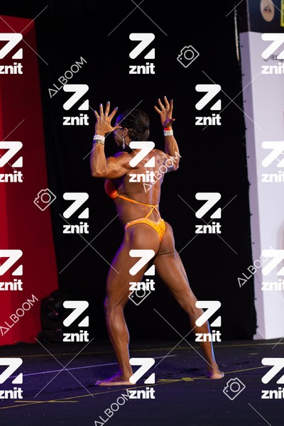 123__IMG_1732.JPG