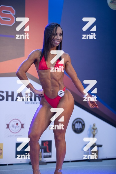 0070__IMG_8477.jpg