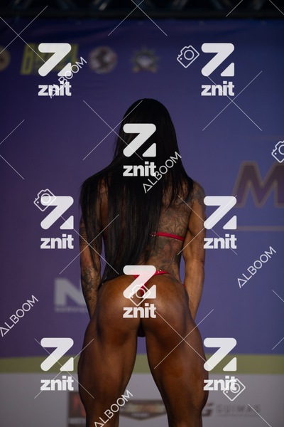 0190__IMG_8732.jpg