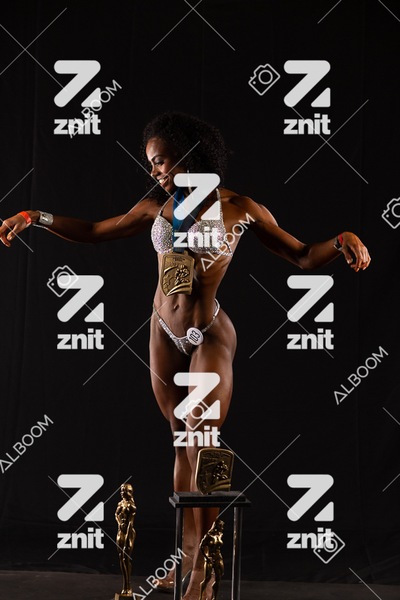72__IMG_4055.jpg