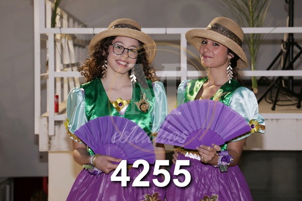 4255.JPG