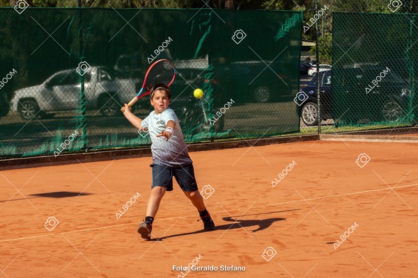STEF0532.jpg