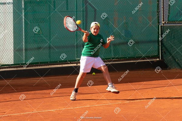 STEF1224.jpg
