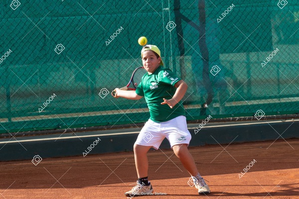 STEF1223.jpg