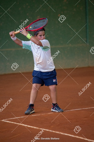 STEF1038.jpg