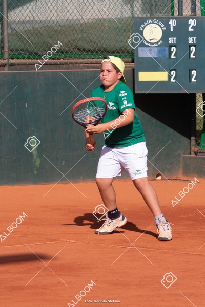 STEF1233.jpg