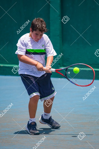 STEF3313.jpg