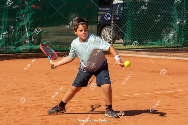 STEF0540.jpg