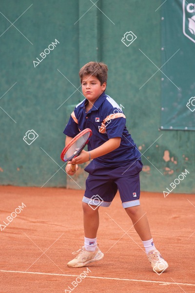 STEF6263.jpg