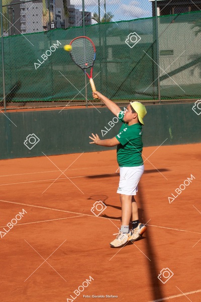 STEF1239.jpg