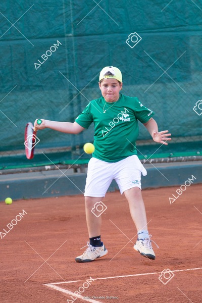 STEF1246.jpg
