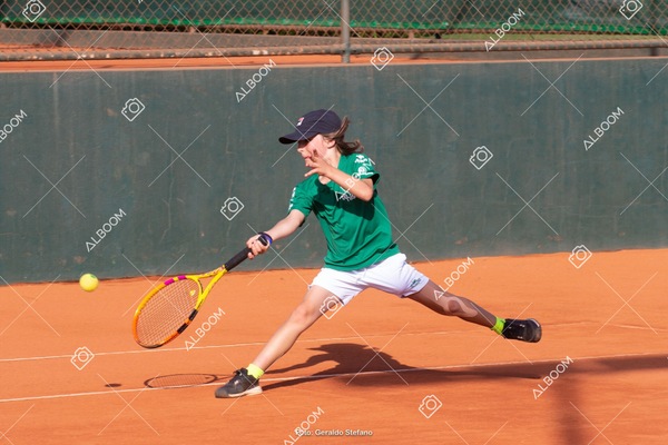 STEF1237.jpeg