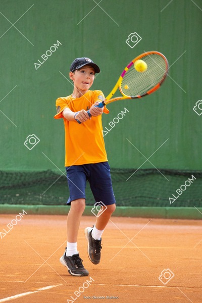 STEF0543.jpeg