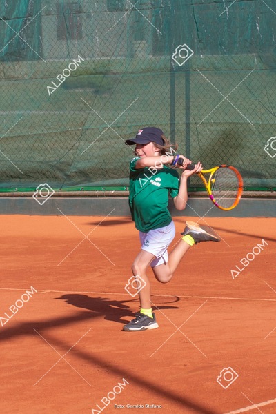 STEF1230.jpeg