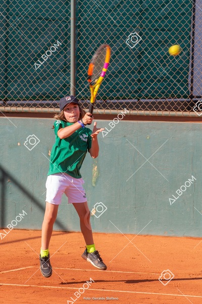 STEF1256.jpeg