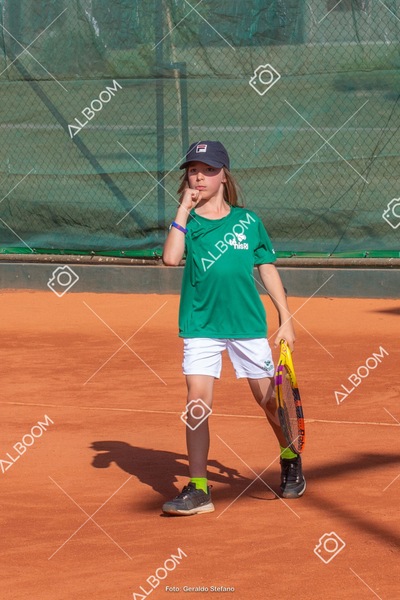 STEF1231.jpeg