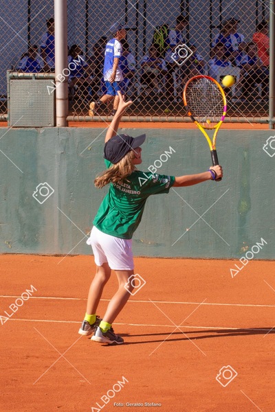 STEF1242.jpeg