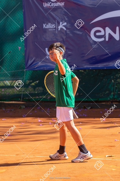 STEF1172.jpg