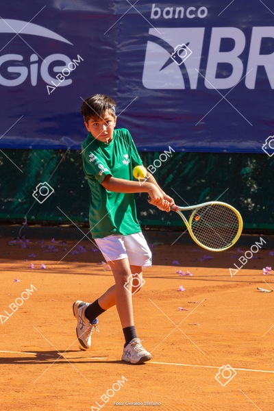 STEF1169.jpg