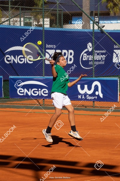 STEF1073.jpg