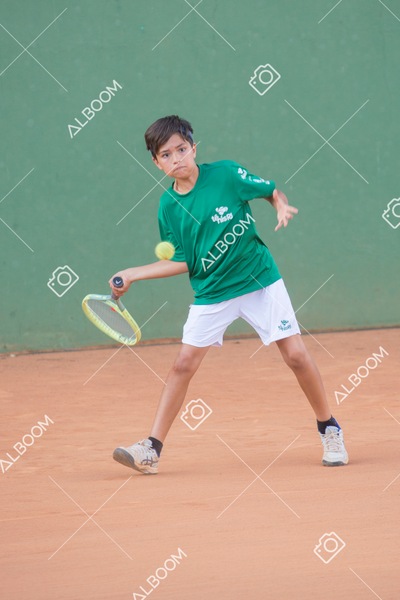 STEF0910.jpg