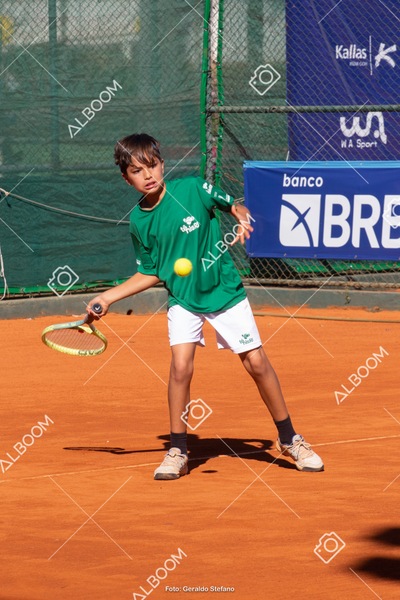 STEF1066.jpg