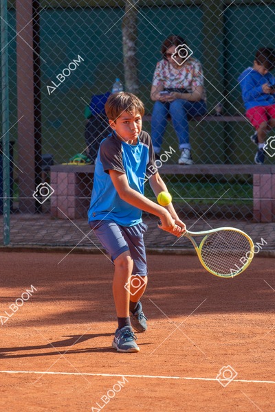 STEF0272.jpg
