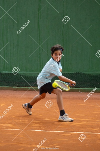 STEF0635.jpg