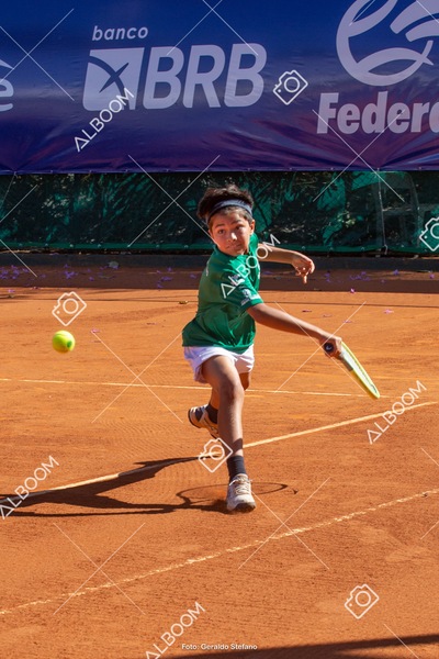 STEF1167.jpg