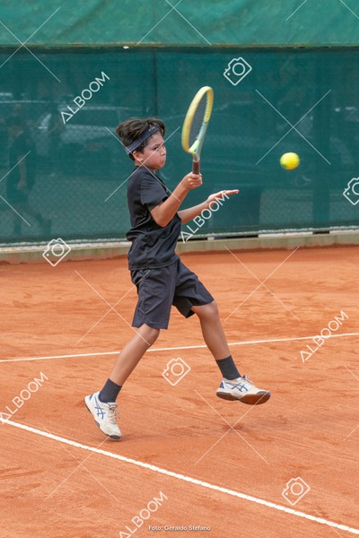 STEF0534.jpg