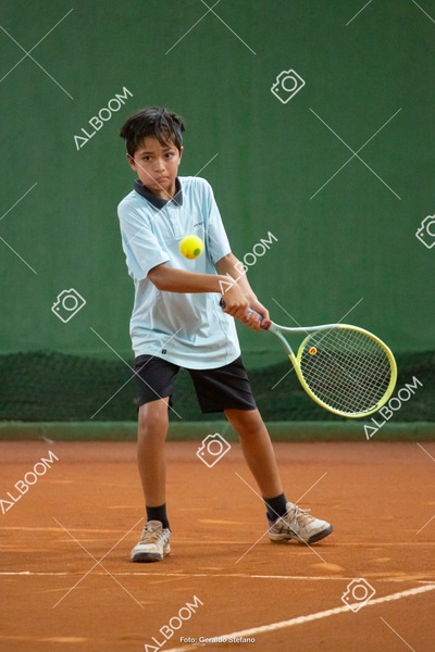 STEF0602.jpg