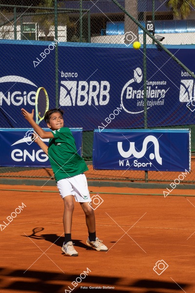 STEF1071.jpg