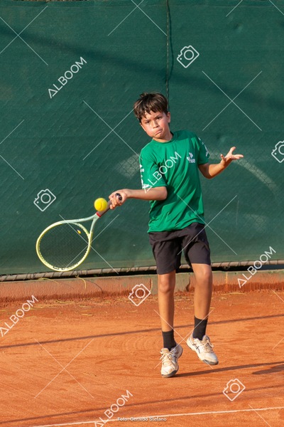 STEF0861.jpg