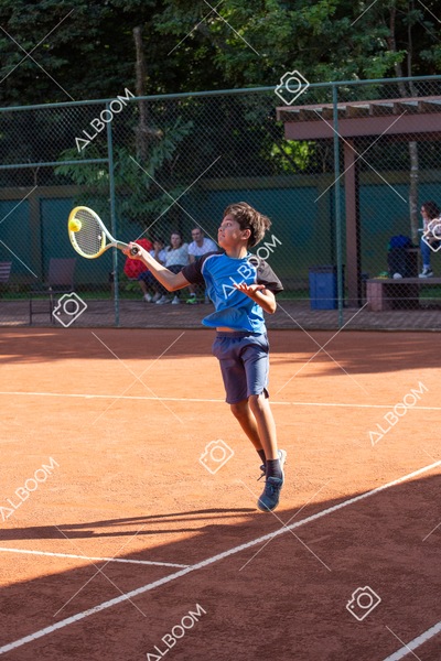 STEF0268.jpg