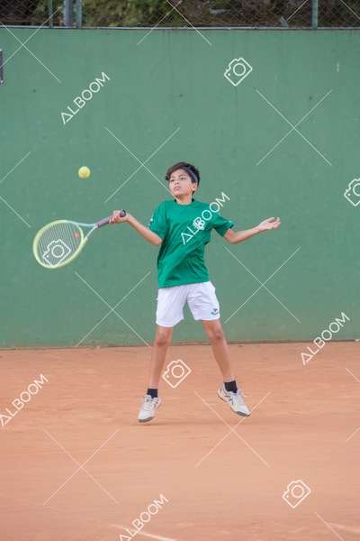 STEF0911.jpg