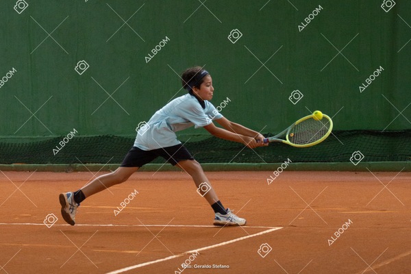 STEF0588.jpg