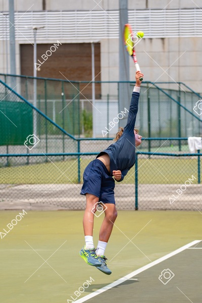 STEF2664.jpg