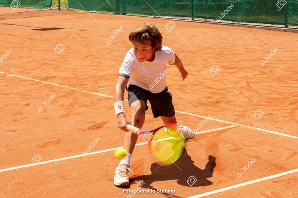 STEF0133.jpg