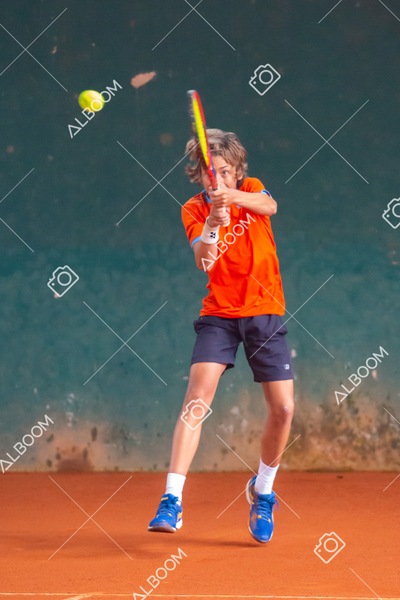 STEF3923.jpg