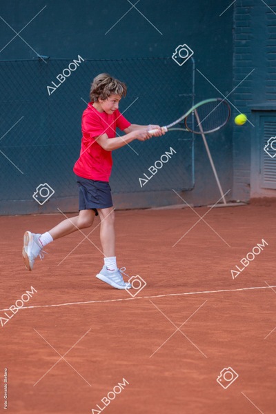 STEF7971.jpg