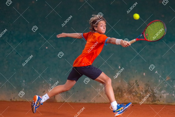 STEF3925.jpg