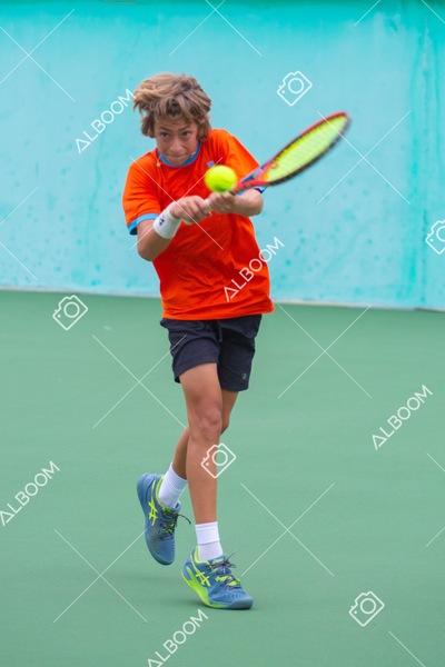 STEF3770.jpg