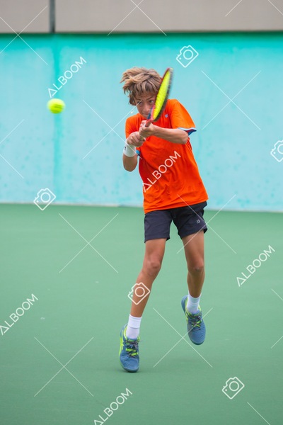 STEF3773.jpg