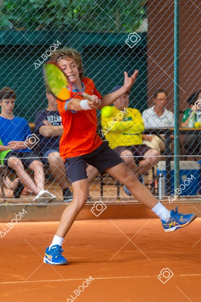 STEF3933.jpg
