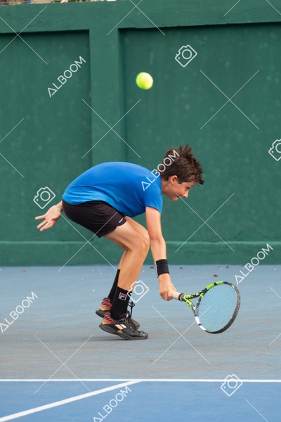 STEF3521.jpg
